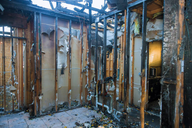 Professional Smoke Damage Removal technician working in New Hope, PA